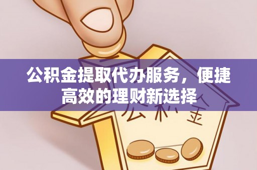 玉井公积金提取代办服务，便捷高效的理财新选择