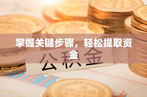 玉井掌握关键步骤，轻松提取资金