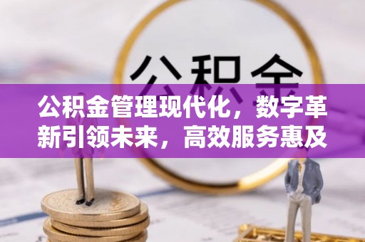 玉井公积金管理现代化，数字革新引领未来，高效服务惠及民生