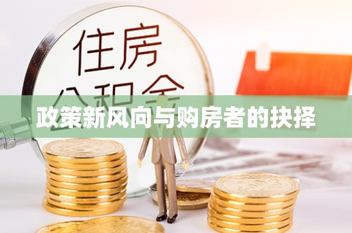 玉井政策新风向与购房者的抉择