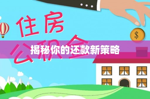 玉井揭秘你的还款新策略