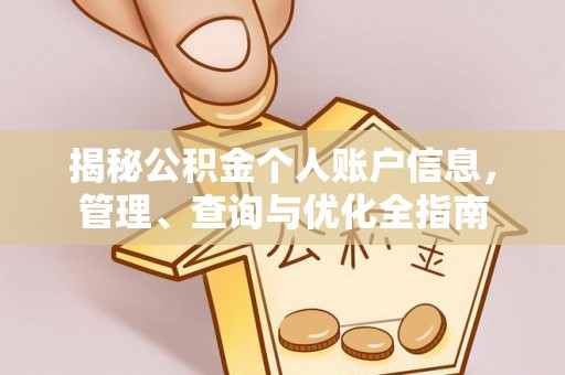 玉井揭秘公积金个人账户信息，管理、查询与优化全指南