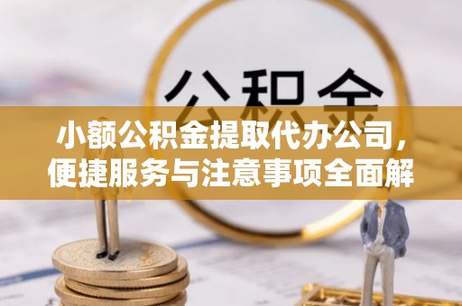 玉井小额公积金提取代办公司，便捷服务与注意事项全面解析