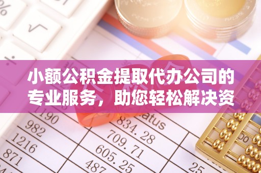 玉井小额公积金提取代办公司的专业服务，助您轻松解决资金难题