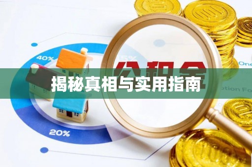 玉井揭秘真相与实用指南