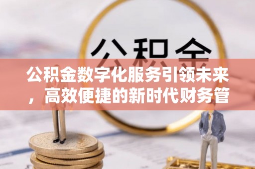 玉井公积金数字化服务引领未来，高效便捷的新时代财务管理