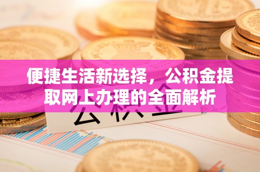 玉井便捷生活新选择，公积金提取网上办理的全面解析