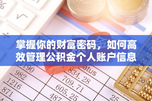 玉井掌握你的财富密码，如何高效管理公积金个人账户信息