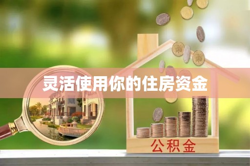 玉井灵活使用你的住房资金