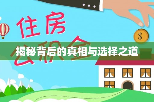 玉井揭秘背后的真相与选择之道