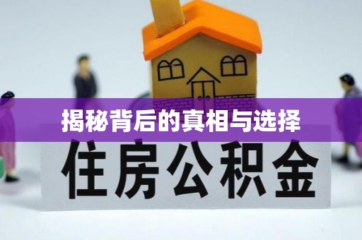 玉井揭秘背后的真相与选择