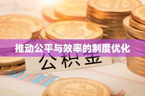玉井推动公平与效率的制度优化