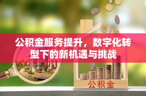 玉井公积金服务提升，数字化转型下的新机遇与挑战
