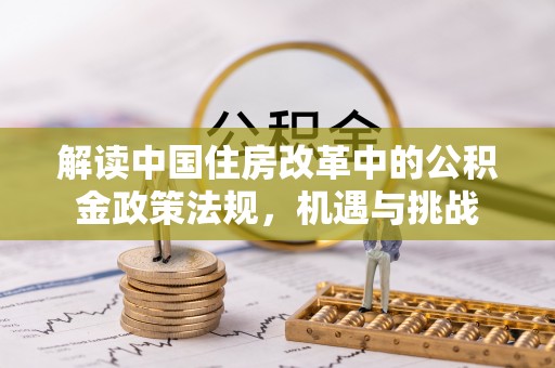 玉井解读中国住房改革中的公积金政策法规，机遇与挑战