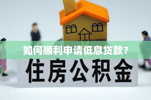 玉井如何顺利申请低息贷款？