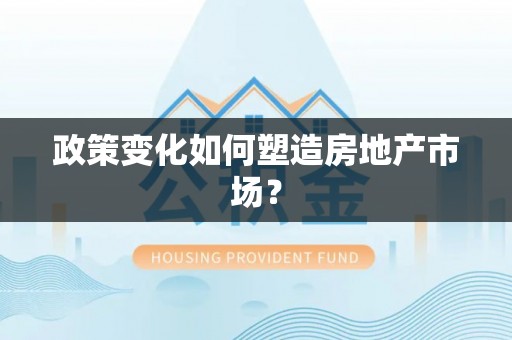 玉井政策变化如何塑造房地产市场？