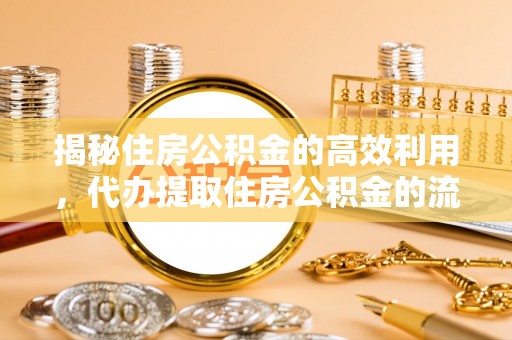 玉井揭秘住房公积金的高效利用，代办提取住房公积金的流程与技巧