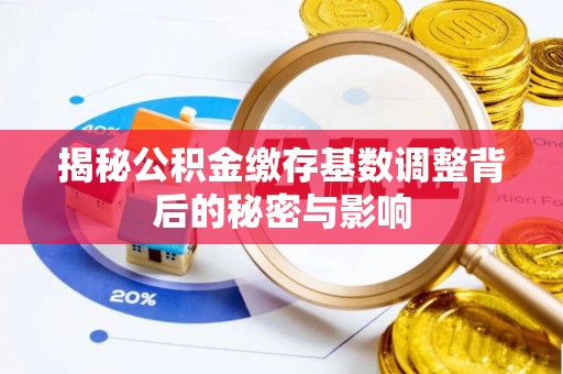 玉井揭秘公积金缴存基数调整背后的秘密与影响