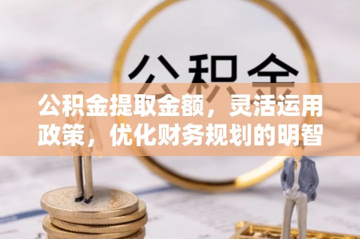 玉井公积金提取金额，灵活运用政策，优化财务规划的明智选择