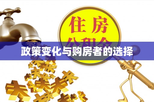 玉井政策变化与购房者的选择