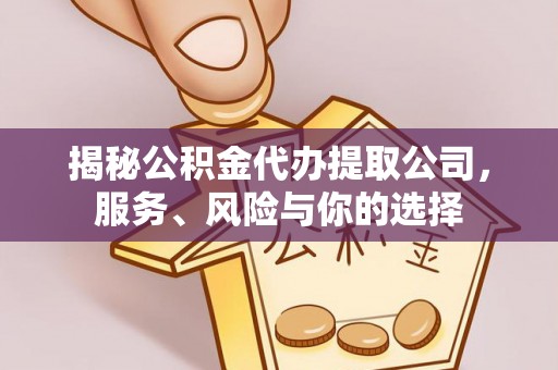 玉井揭秘公积金代办提取公司，服务、风险与你的选择