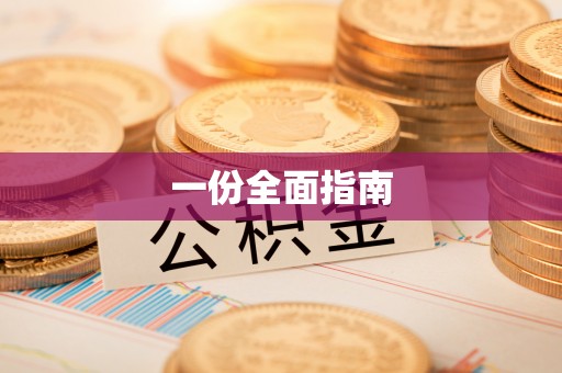 玉井一份全面指南