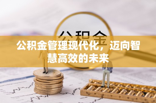 玉井公积金管理现代化，迈向智慧高效的未来
