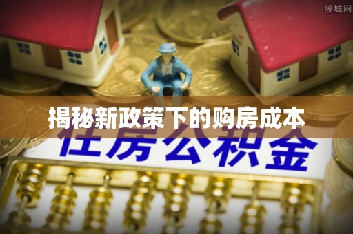 玉井揭秘新政策下的购房成本