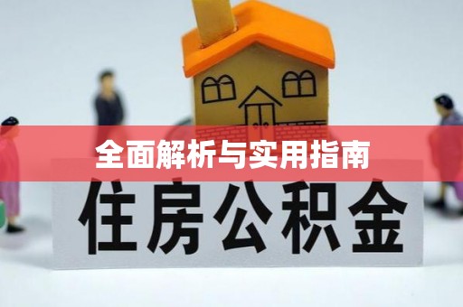 玉井全面解析与实用指南