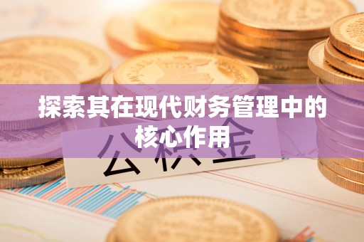 玉井探索其在现代财务管理中的核心作用