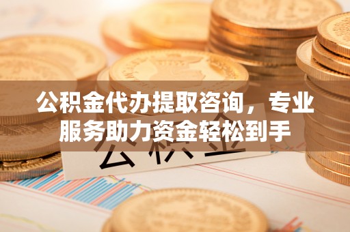 玉井公积金代办提取咨询，专业服务助力资金轻松到手