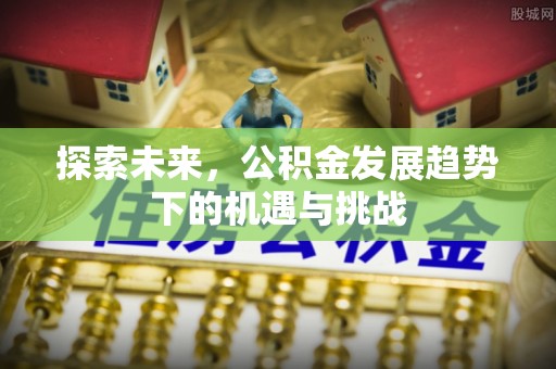 玉井探索未来，公积金发展趋势下的机遇与挑战