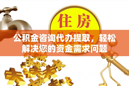 玉井公积金咨询代办提取，轻松解决您的资金需求问题