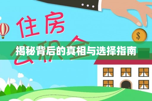 玉井揭秘背后的真相与选择指南