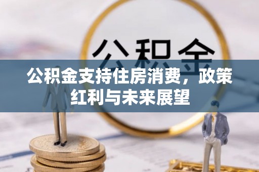 玉井公积金支持住房消费，政策红利与未来展望