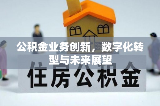 玉井公积金业务创新，数字化转型与未来展望