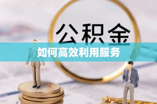 玉井如何高效利用服务