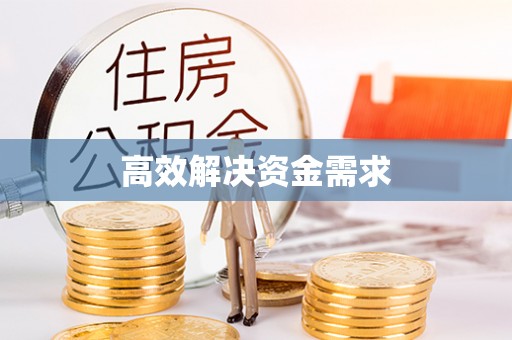 玉井高效解决资金需求