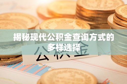 玉井揭秘现代公积金查询方式的多样选择
