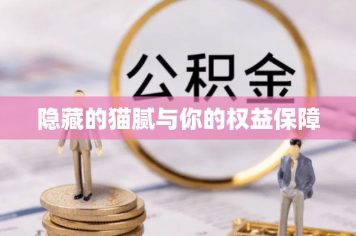 玉井隐藏的猫腻与你的权益保障