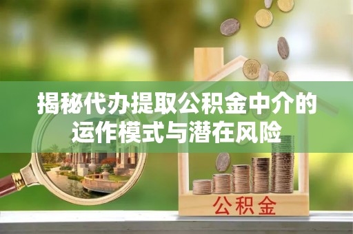 玉井揭秘代办提取公积金中介的运作模式与潜在风险
