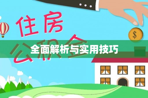 玉井全面解析与实用技巧