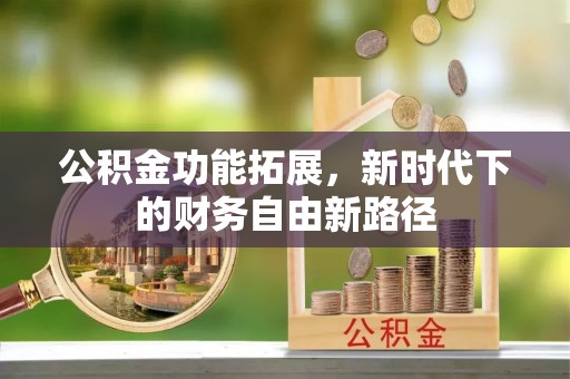 玉井公积金功能拓展，新时代下的财务自由新路径
