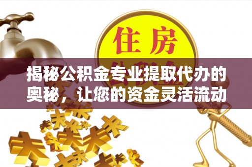 玉井揭秘公积金专业提取代办的奥秘，让您的资金灵活流动