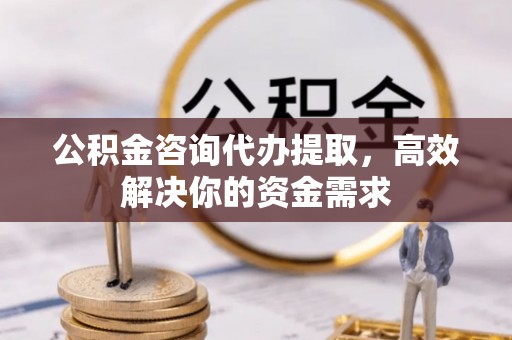 玉井公积金咨询代办提取，高效解决你的资金需求