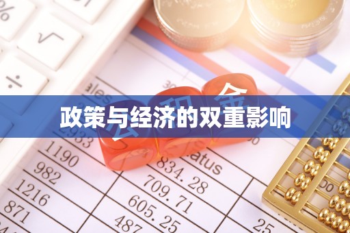玉井政策与经济的双重影响