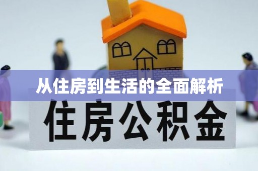 玉井从住房到生活的全面解析