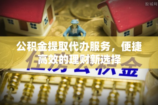 玉井公积金提取代办服务，便捷高效的理财新选择