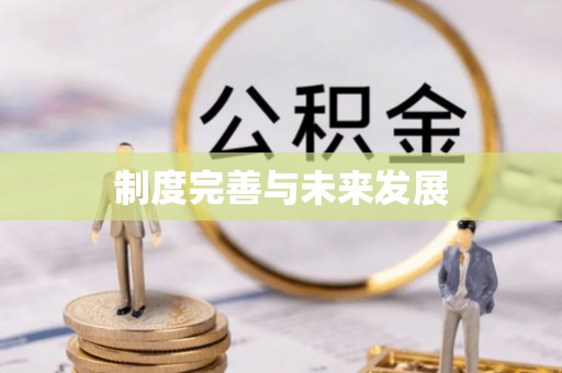 玉井制度完善与未来发展
