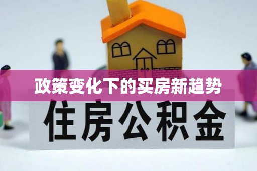 玉井政策变化下的买房新趋势